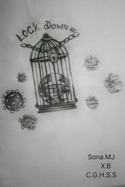 കൊറോണ വ്യാപനത്തിന്റെ വിവിധ മുഖങ്ങൾ