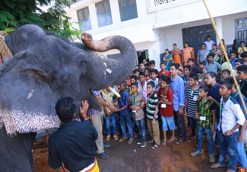 പ്രമാണം:IMG 0119.jpg