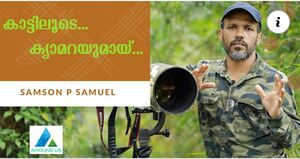 Samson P Samuel - Wild Life Photographer