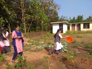 13121 karshika club 4.jpg