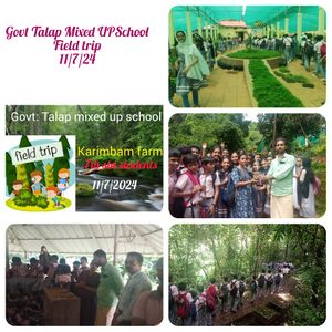 13379-field trip.jpeg