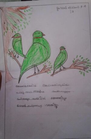 15305-WYD-KUNJ-MUHAMMED SHAMMAS.jpg