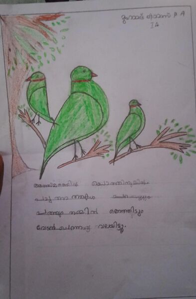 പ്രമാണം:15305-WYD-KUNJ-MUHAMMED SHAMMAS.jpg