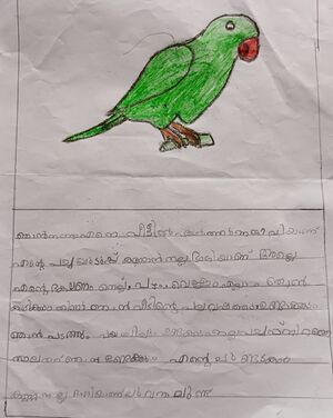 18567-MLP-KUNJ-SHANHA FATHIMA.jpg