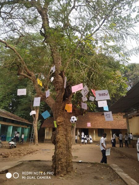 പ്രമാണം:19026-fifa-tree-1.jpeg