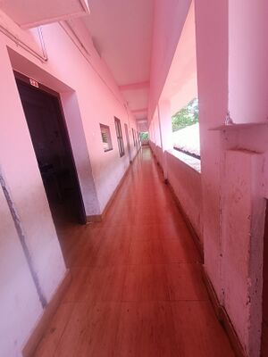 19616-class paintings.jpg