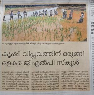 19833-Nellu start 2022 23 11.jpg