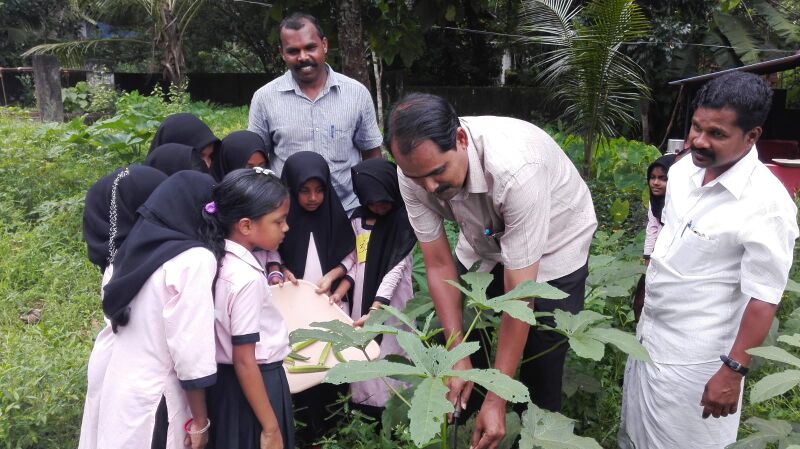 പ്രമാണം:19833 paddadikal46.jpg