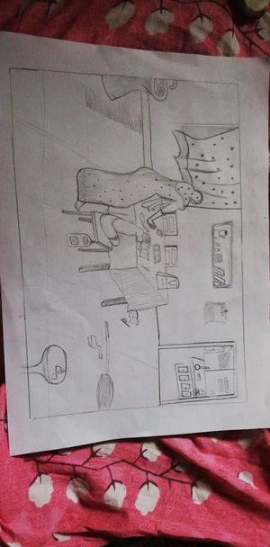 19856 Amna Mehanna3A.jpeg