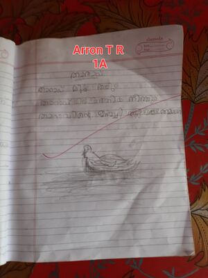 22417-TSR-KUNJ-ARRON TR.jpg