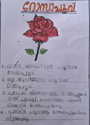 26324 NIRANJANA RANJITH.jpg