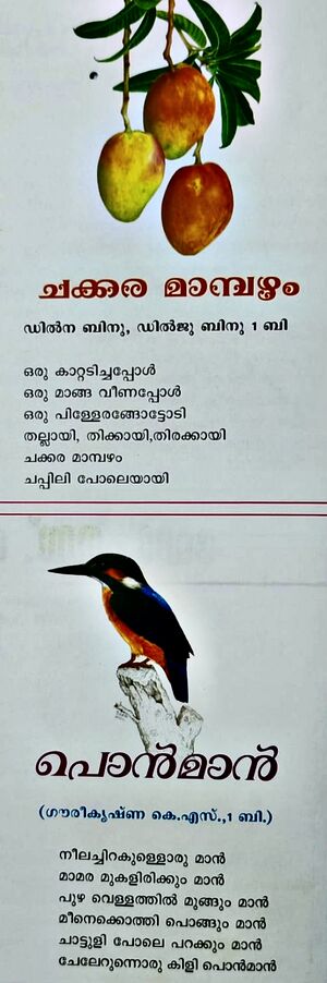 29312 newspaper16.jpg