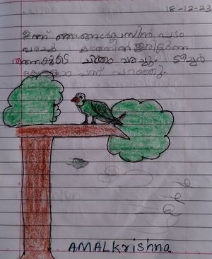 40206-KLM-KUNJ-AMAL KRISHNA.jpeg