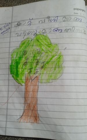 42217svpmnoufin s.jpg