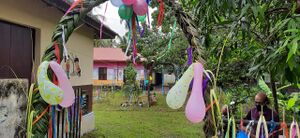 BS21 KTM 18096 5.jpg