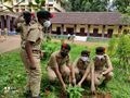 11:34, 26 ജനുവരി 2022-ലെ പതിപ്പിന്റെ ലഘുചിത്രം