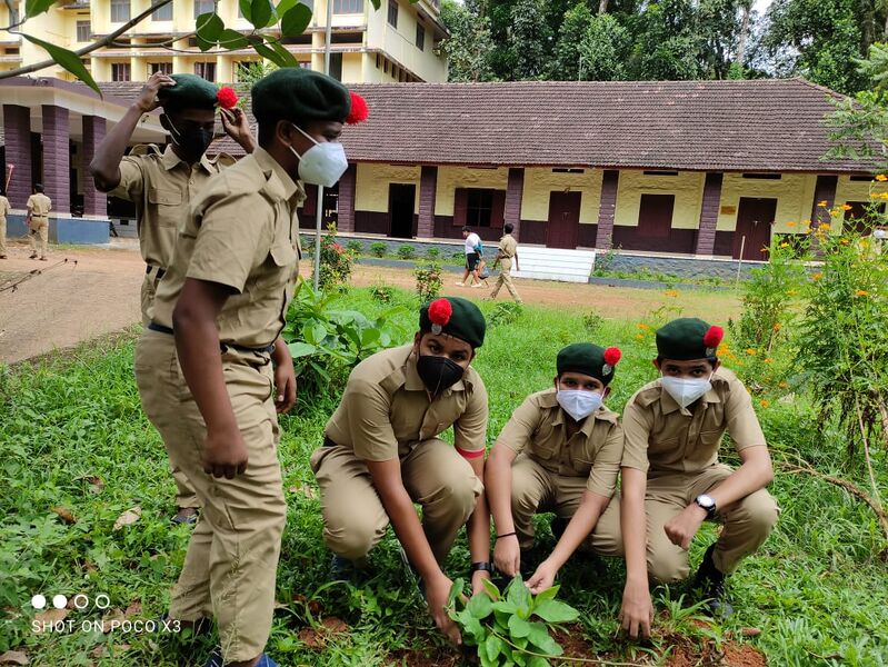 പ്രമാണം:Cadets Planting Trees 1.jpg