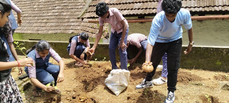 പ്രമാണം:Krishi 38047.jpg