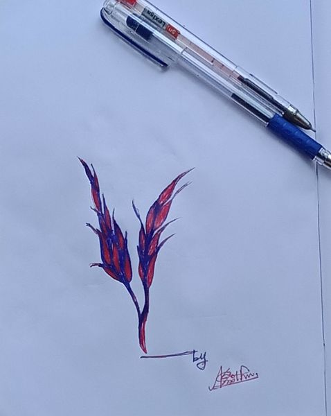 പ്രമാണം:Krishna 2.jpeg