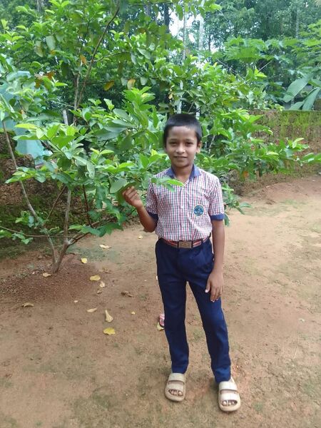 പ്രമാണം:WITH MY TREE 4.jpg