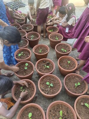 12312 veg garden.jpg