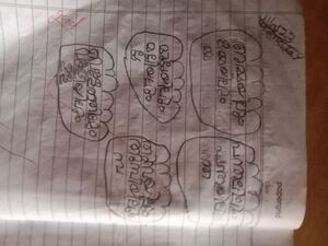 15082 WYD KUNJ DIYA SUJITH.jpg