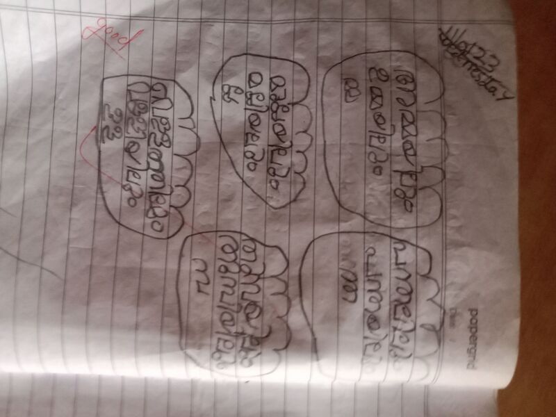 പ്രമാണം:15082 WYD KUNJ DIYA SUJITH.jpg