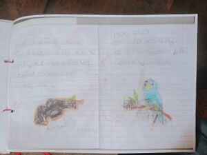 15231-WYD-KUNJ-AKSHAY K V.jpg