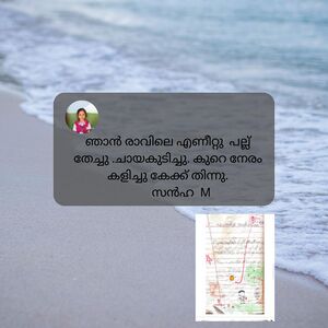 18429-MLP-SANHA V.jpeg