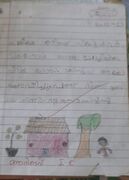 ADIDEV