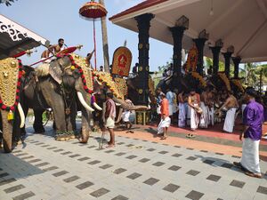 23039 Chembuchira pooram.jpg