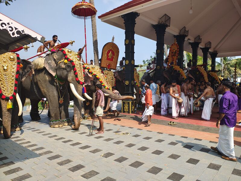 പ്രമാണം:23039 Chembuchira pooram.jpg