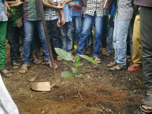 24673 ENV PHOTO 2.jpg