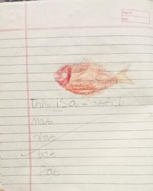 29003-IDK-KUNJ-ASHJITH PAUL.jpg