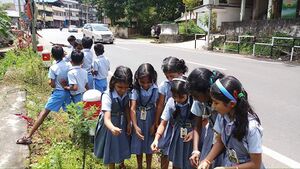 29312 roadgarden4.jpeg