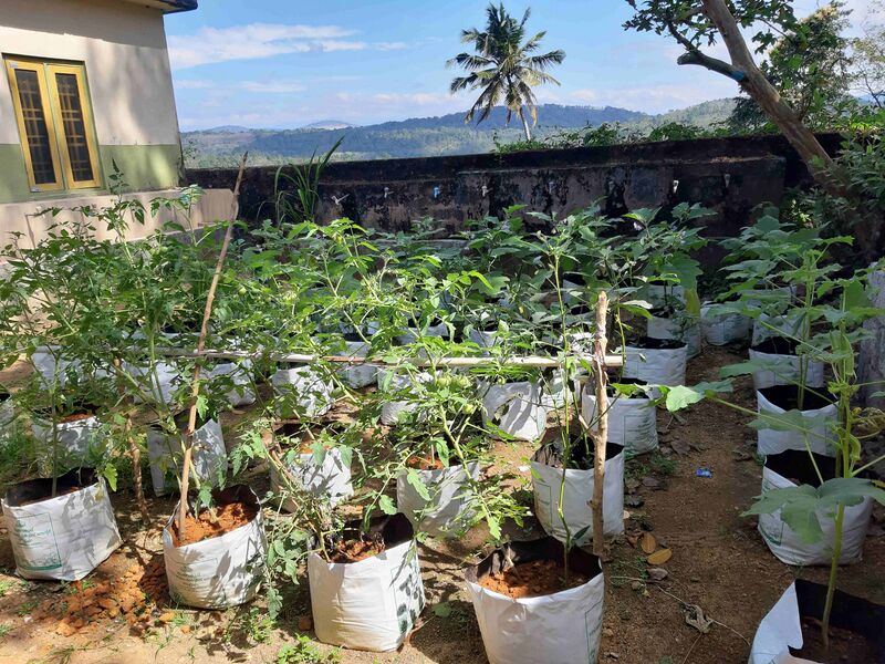 പ്രമാണം:38547 11.jpg