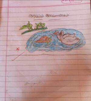 43434-TVM-KUNJ-MAHI M.jpg