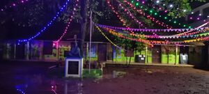 BS21 ALP 36410 3.jpg