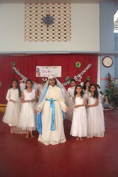 പ്രമാണം:Christmas 24071 1.JPG