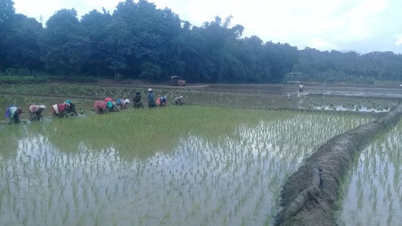 പ്രമാണം:FB IMG 1741916566785.jpg