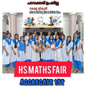 Lfcghss HSmathsfair.jpg