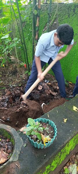 പ്രമാണം:12069 veg gardern3.jpg