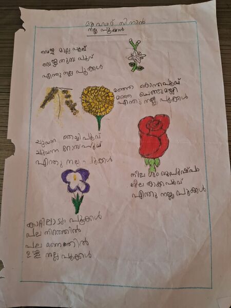 പ്രമാണം:18205-MPM-MUHAMMED SINAN.jpeg