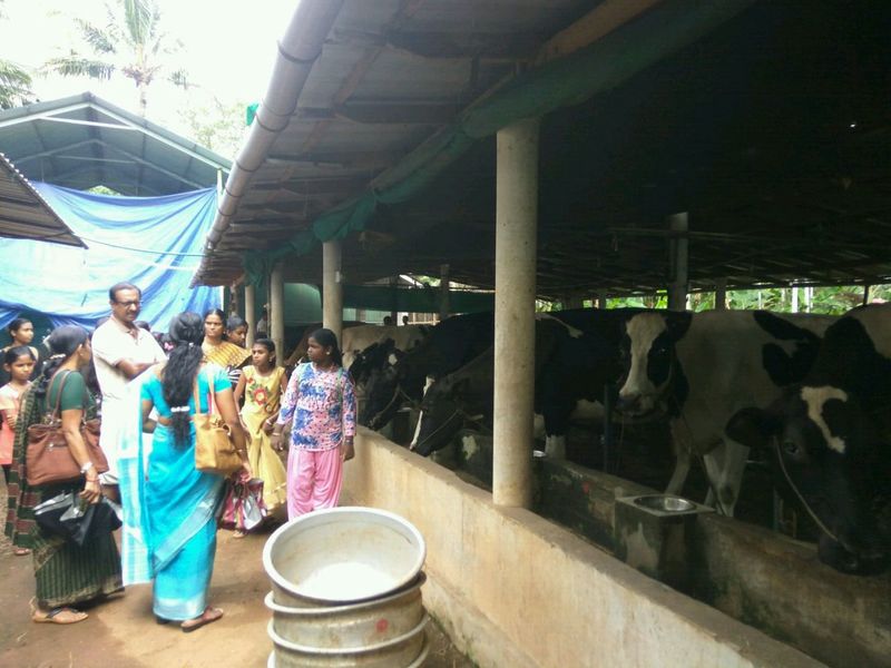 പ്രമാണം:22076fiel 1.jpg