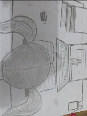 24424-covid19 03.jpeg