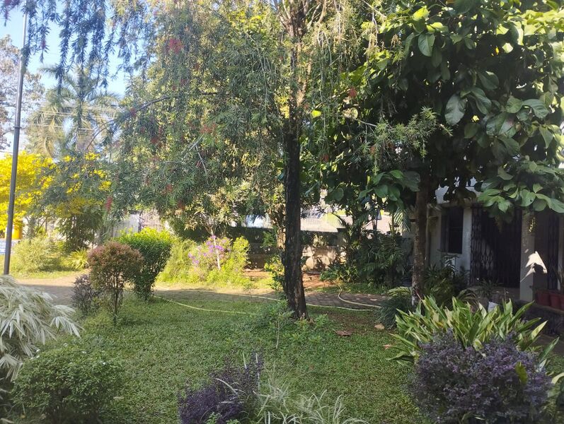 പ്രമാണം:25049-school garden-ente gramam.jpeg