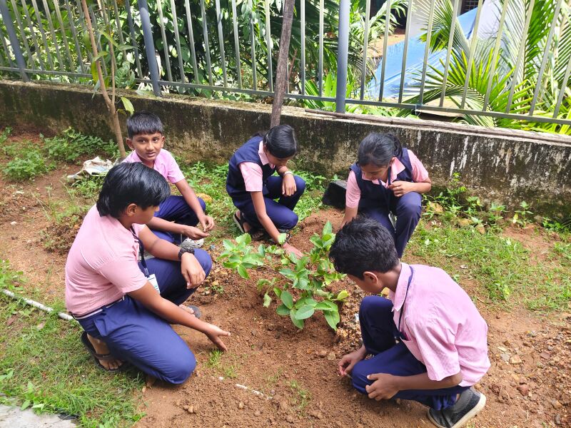 പ്രമാണം:25121 kitchen garden 3.jpg