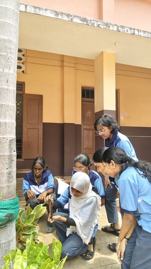 26059-LKschoolcampphase1-2026-3.jpeg