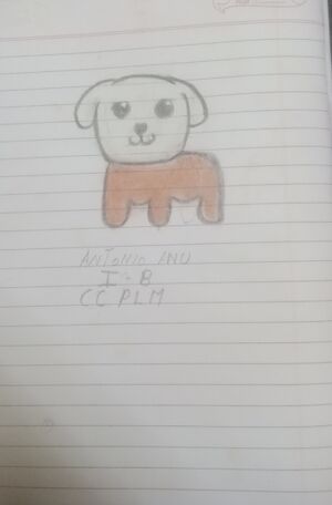 26068-EKM-KUNJ-ANTONIO ANU-34.jpg