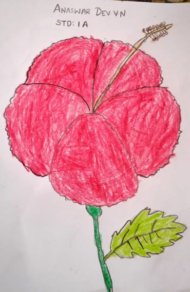 പ്രമാണം:44055 12yty.jpeg